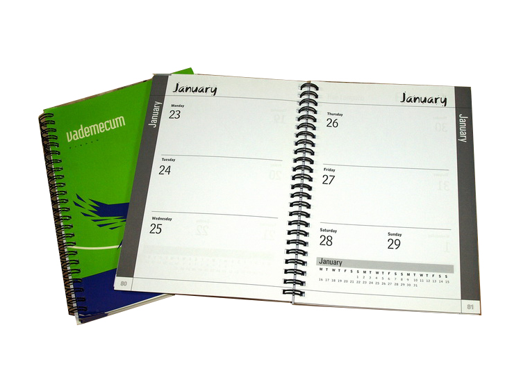 Hot Selling Professional YO Notebook Printing Cartoon Agenda Dairy Printing With YO Binding