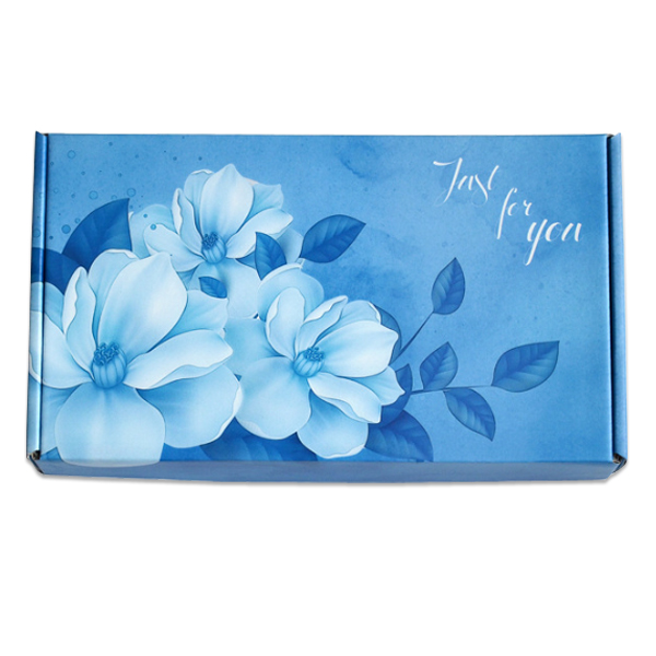 Custom Colored Folding Packing Carton Boxes
